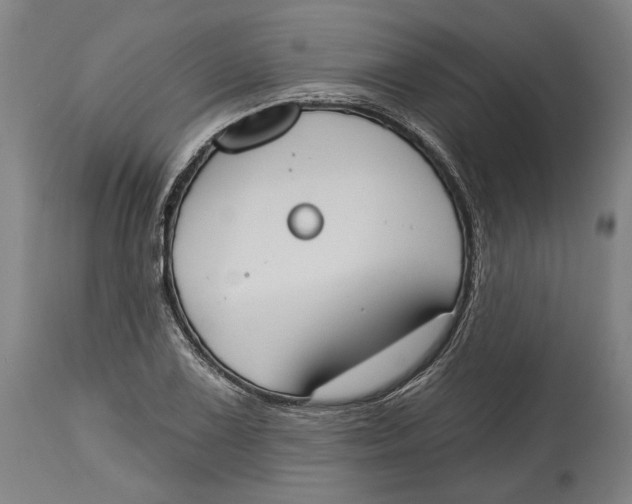 X0000115071075200911171125