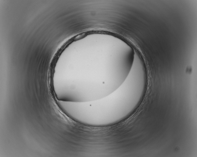 X0000115071076200911171125