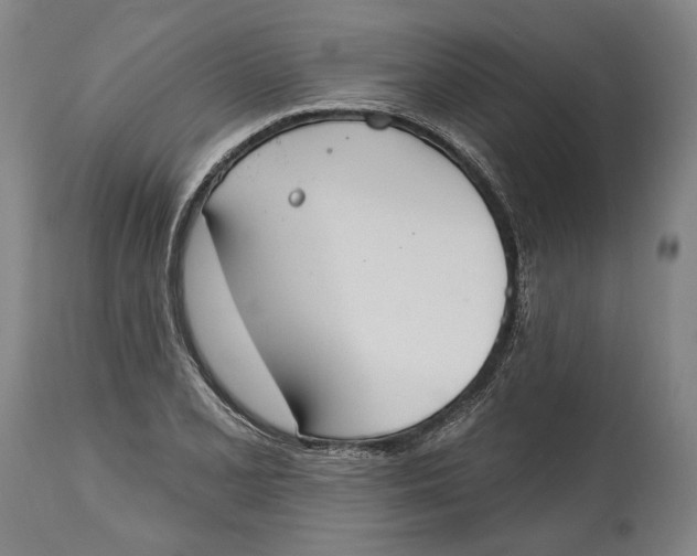 X0000115071077200911171125
