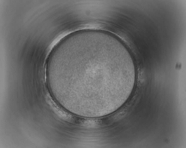 X0000115071078200911171125