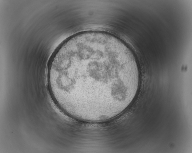X0000115071079200911171125