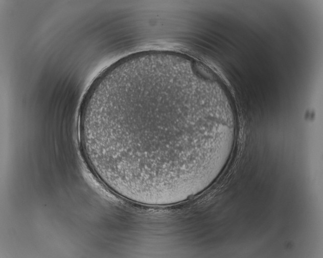 X0000115071080200911171125
