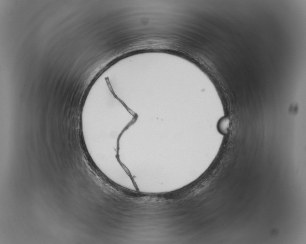 X0000115071081200911171125