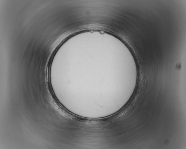 X0000115071082200911171125