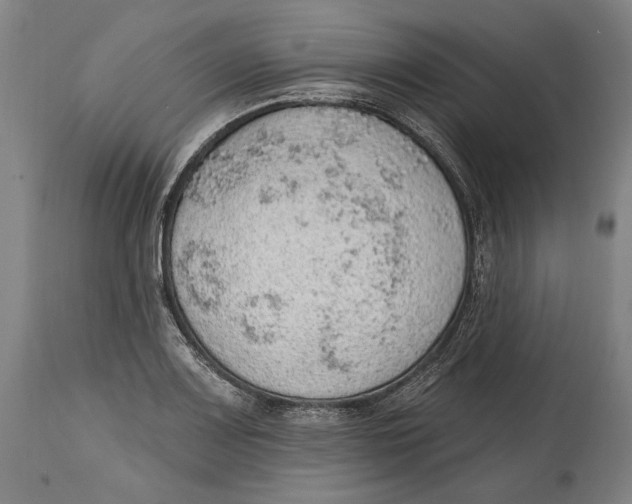 X0000115071083200911171125