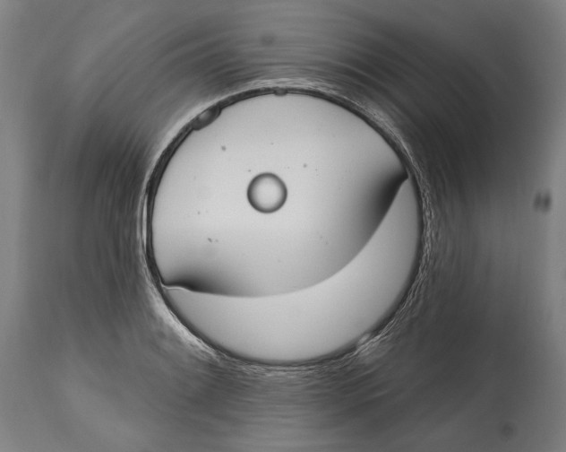 X0000115071084200911171125