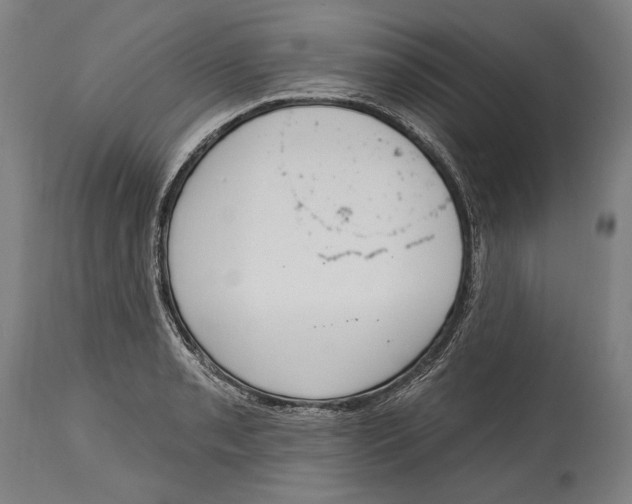 X0000115071085200911171125
