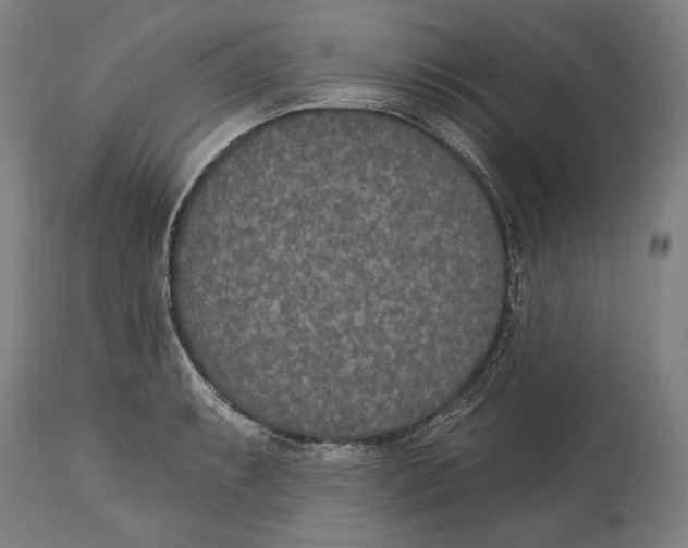 X0000115071087200911171125
