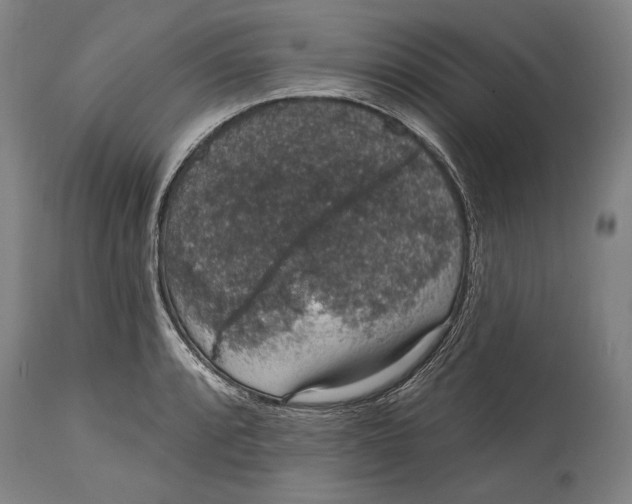 X0000115071088200911171125