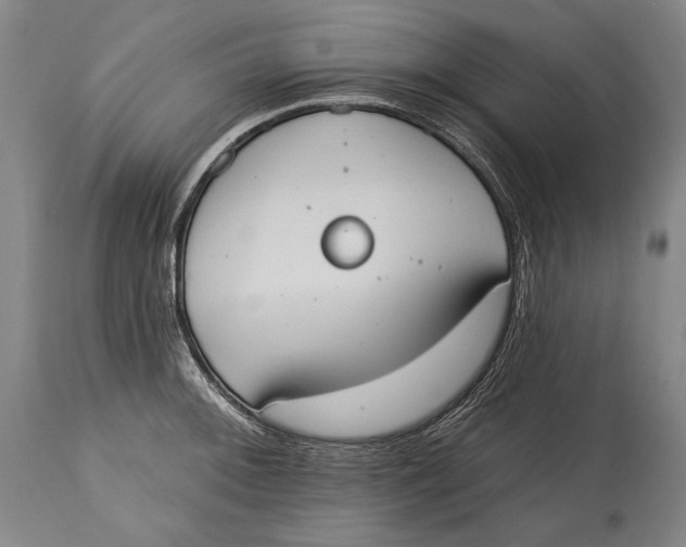X0000115071092200911171124