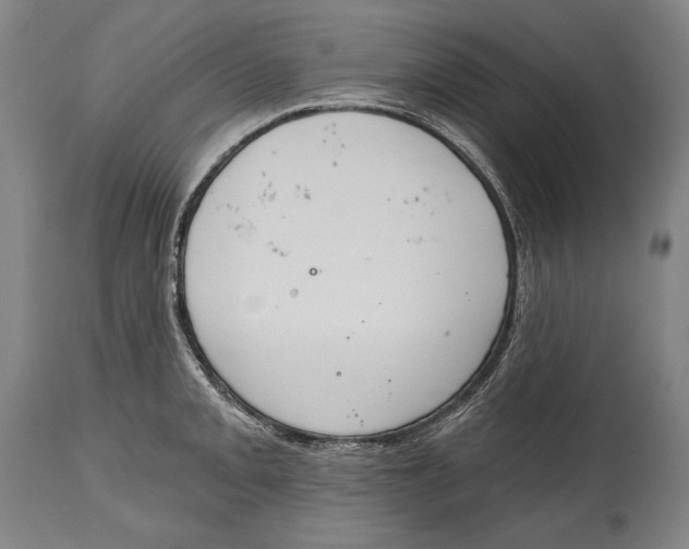 X0000115071093200911171124