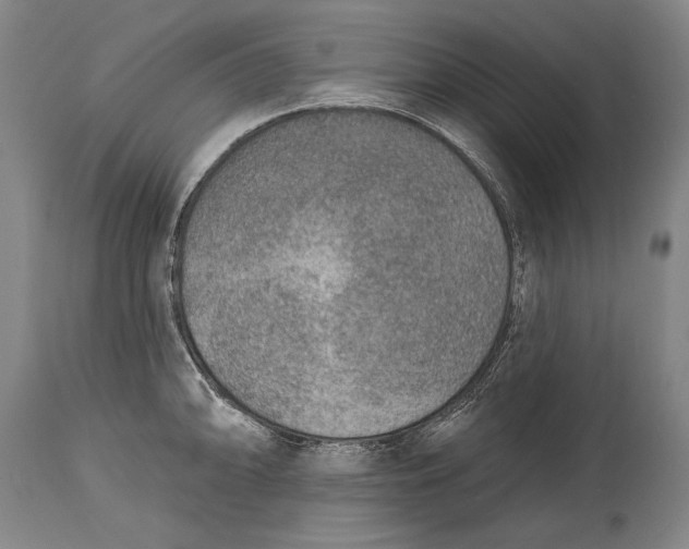 X0000115071094200911171124