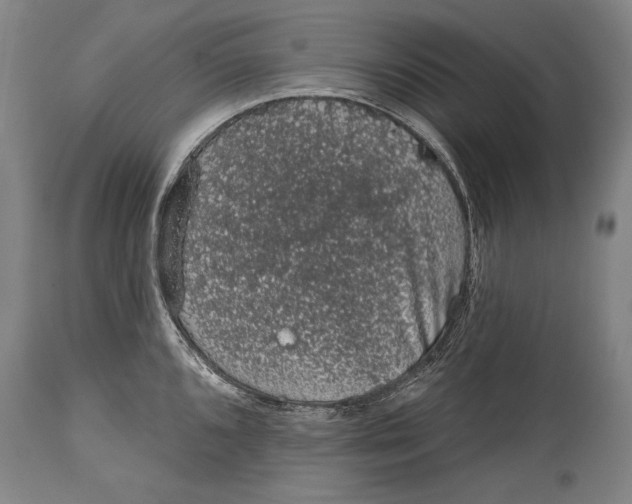 X0000115071096200911171124