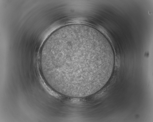 X0000115071098200911171124