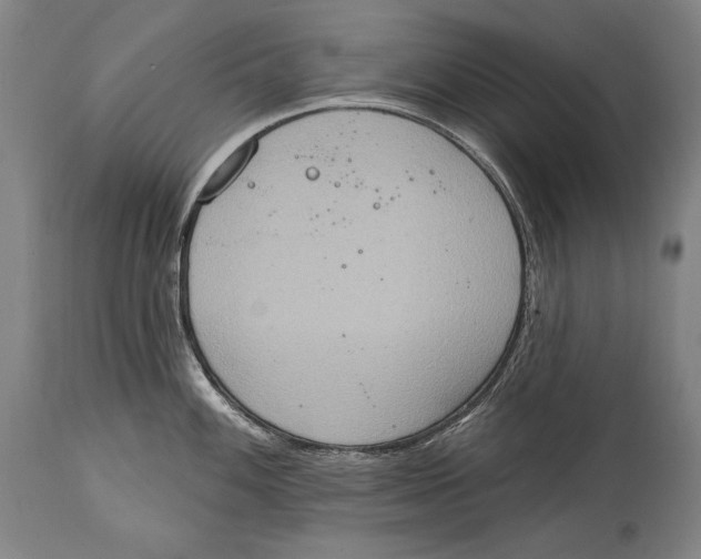 X0000115071100200911171124