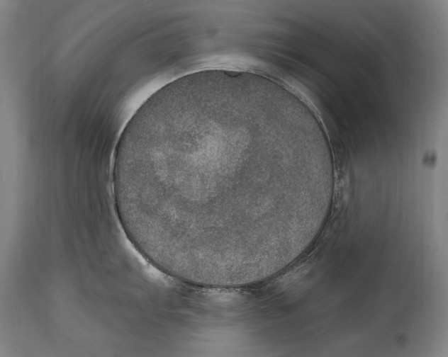 X0000115071103200911171124