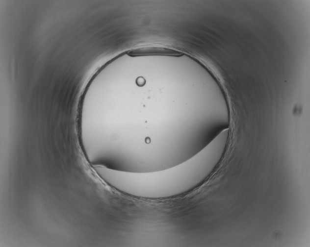 X0000115071104200911171124