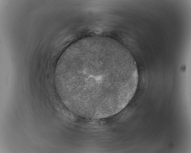X0000115071105200911171124