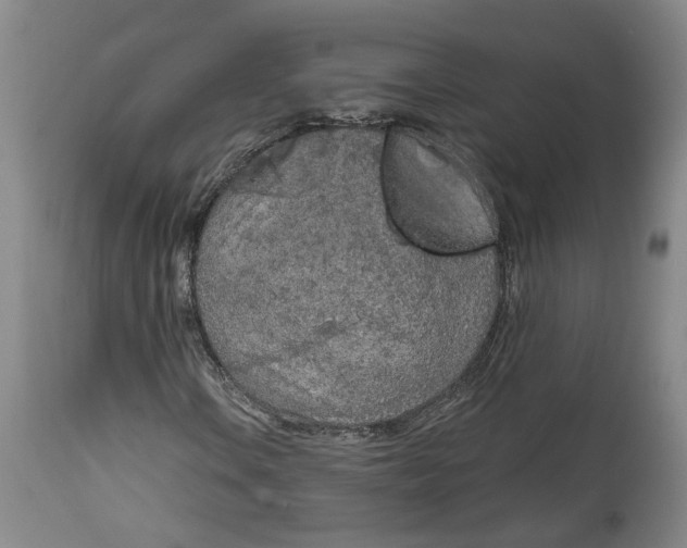 X0000115071106200911171124