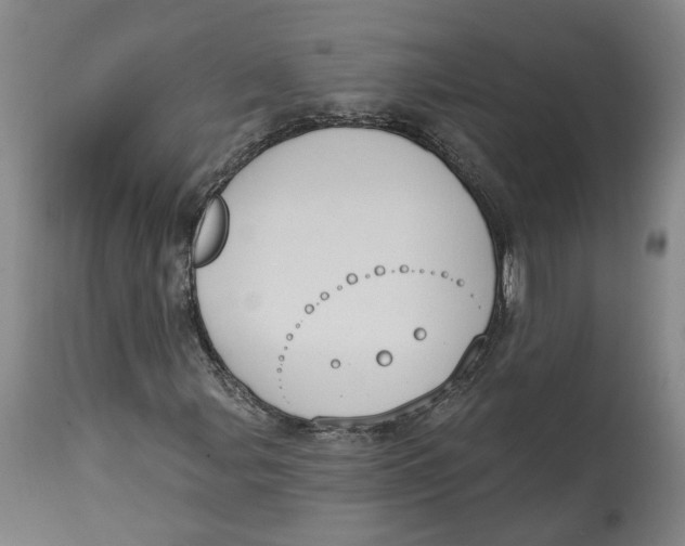 X0000115071107200911171124