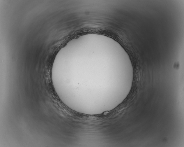 X0000115071109200911171124