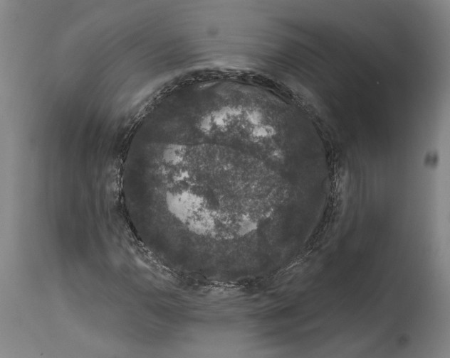 X0000115071110200911171124