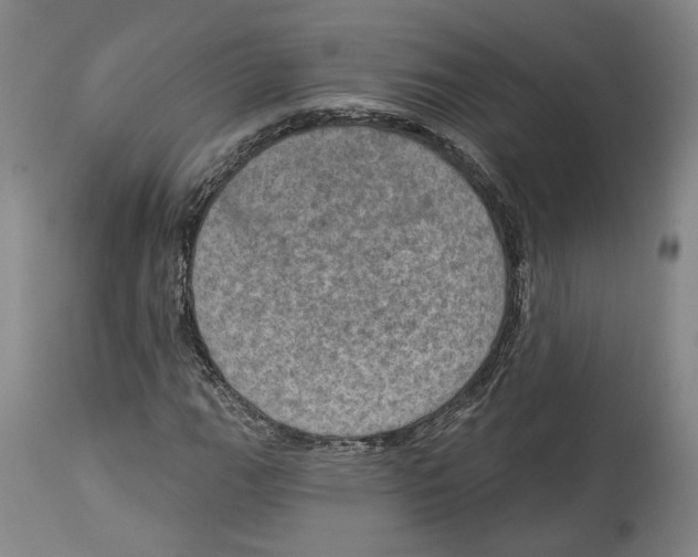 X0000115071111200911171124