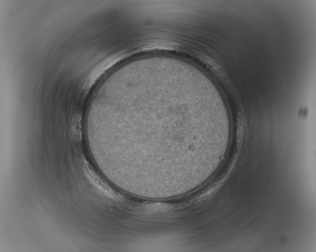 X0000115071113200911171124