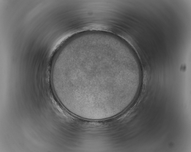 X0000115071115200911171124