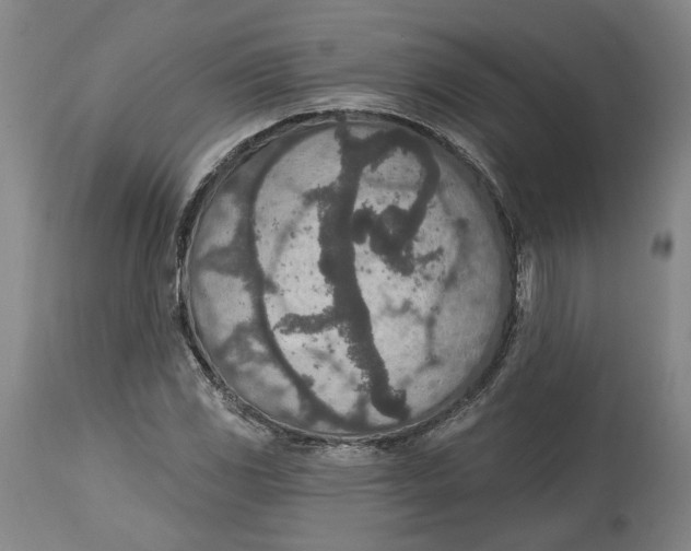 X0000115071117200911171124