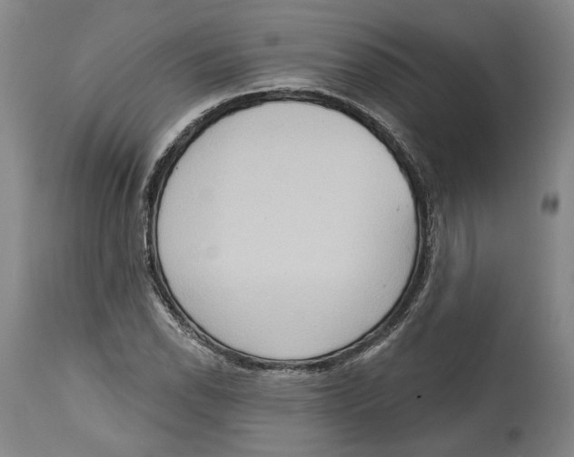 X0000115071118200911171124