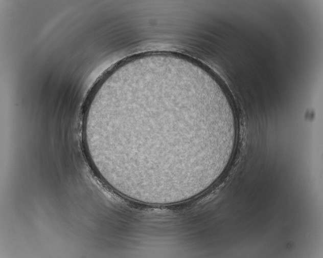 X0000115071119200911171124