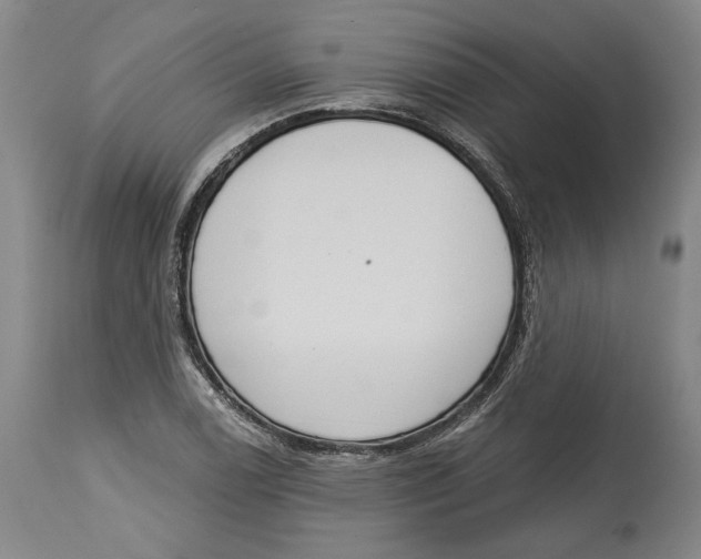 X0000115071122200911171124