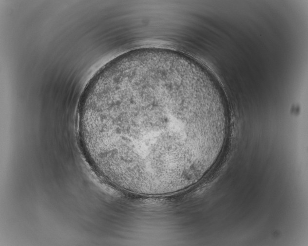 X0000115071125200911171124