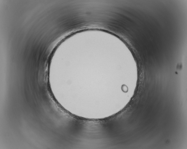 X0000115071126200911171124