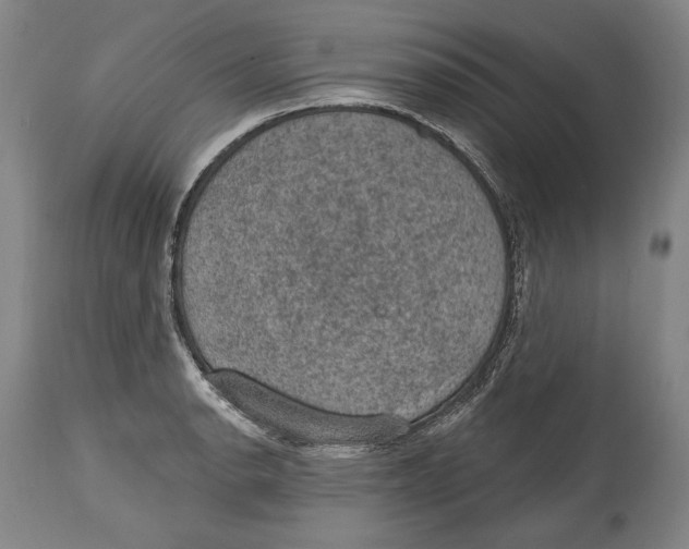 X0000115071134200911171124