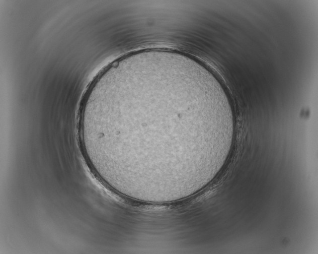 X0000115071135200911171124
