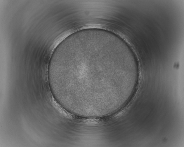 X0000115071137200911171124