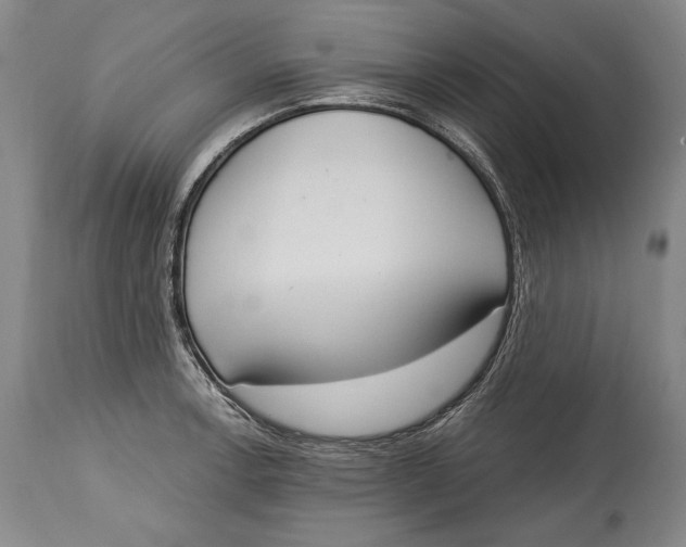 X0000115071138200911171124