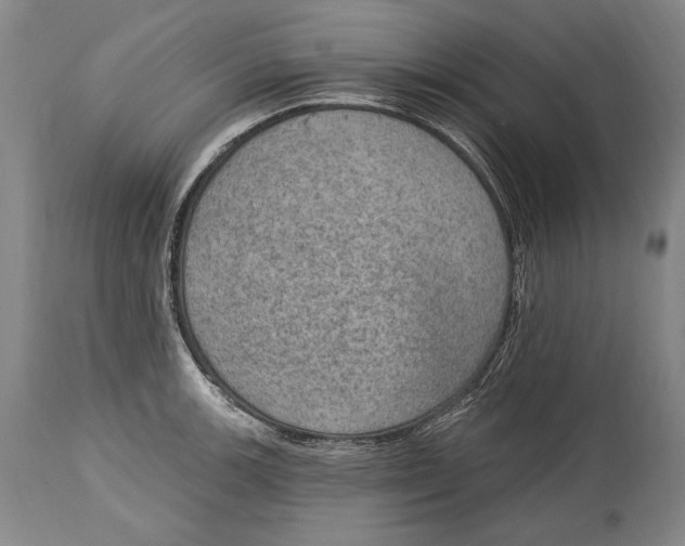 X0000115071139200911171124
