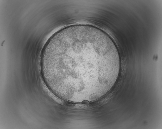 X0000115071142200911171124