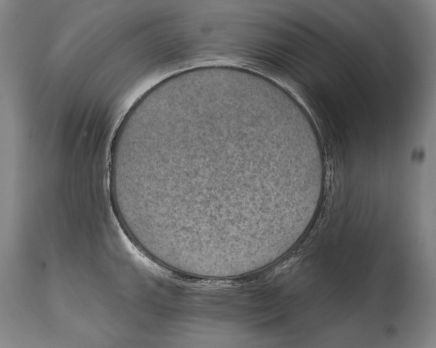 X0000115071143200911171124