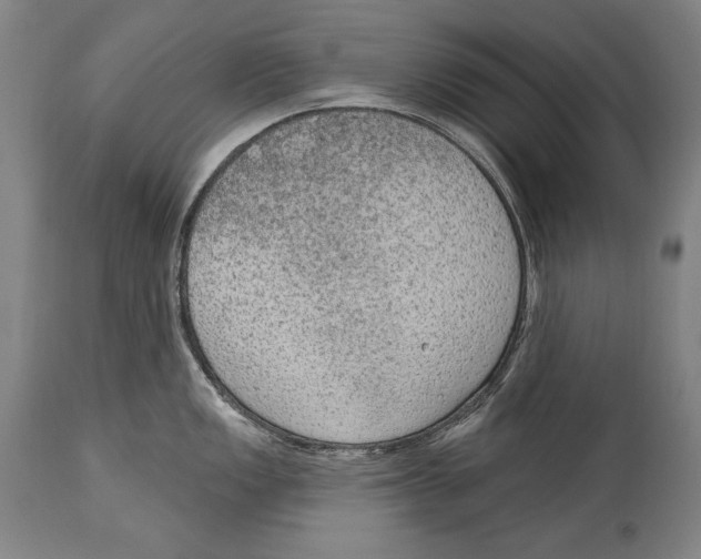 X0000115071149200911171124