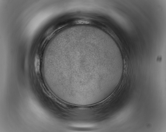 X0000115071151200911171124