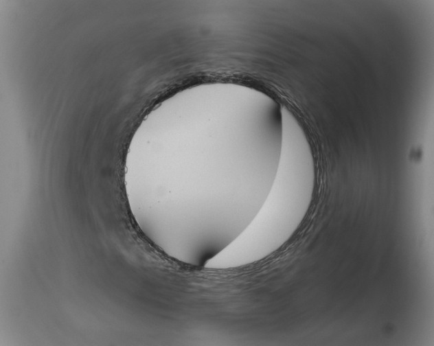 X0000115071153200911171124
