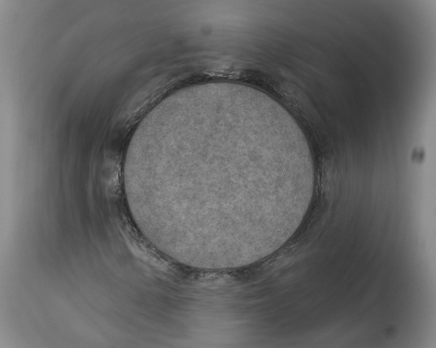 X0000115071154200911171124
