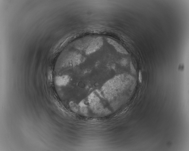 X0000115071155200911171124