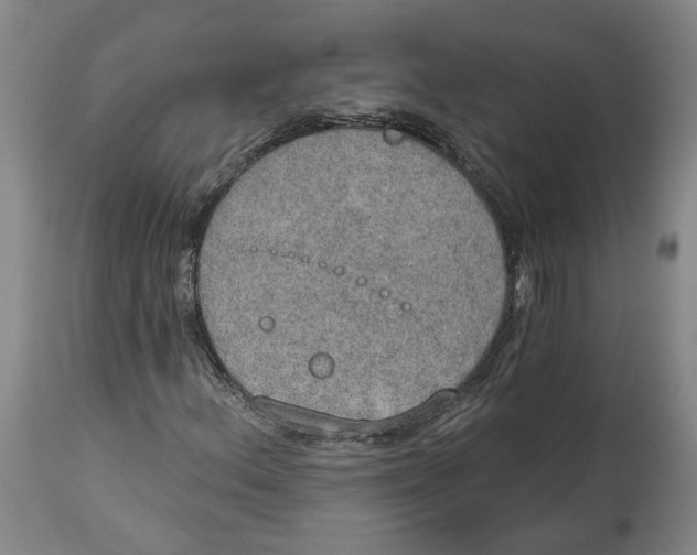 X0000115071156200911171124