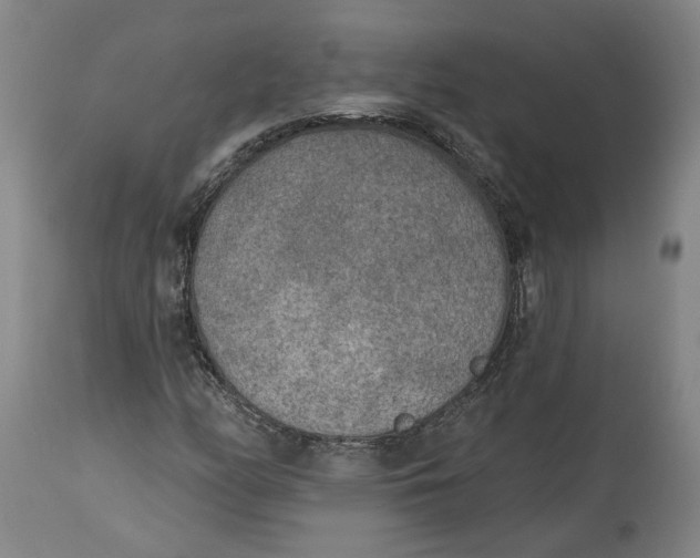 X0000115071158200911171124
