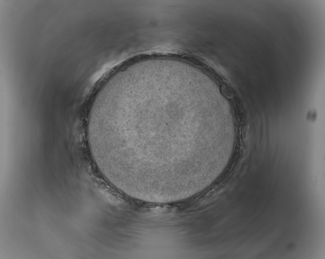 X0000115071160200911171124